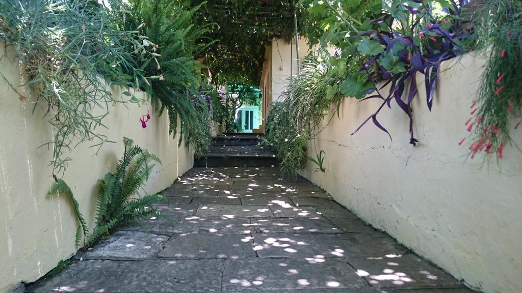 Apartments Petkovic Kuciste Kültér fotó