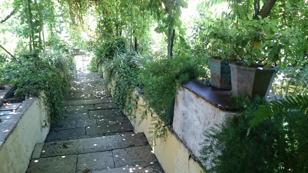 Apartments Petkovic Kuciste Kültér fotó